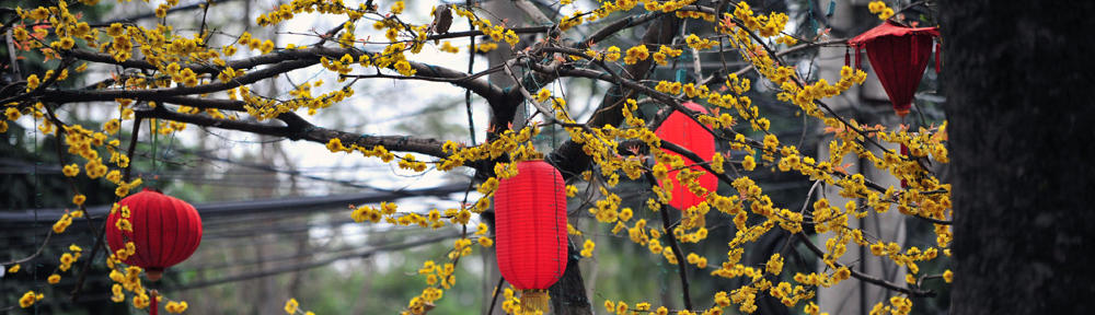 GenSao Photography